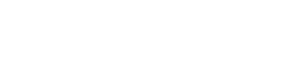 Pro Futsal League 2