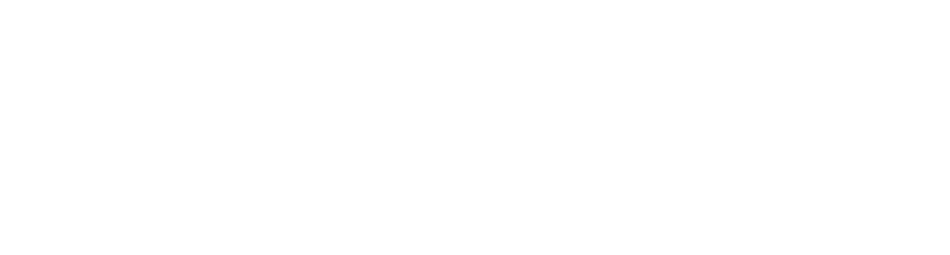 Nusantara Futsal League