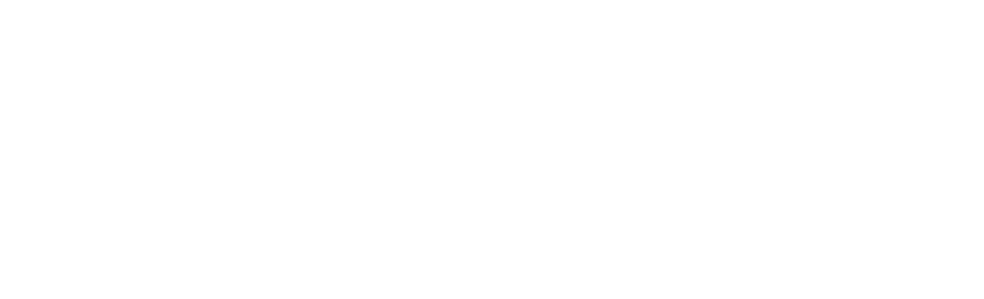 Pro Futsal League