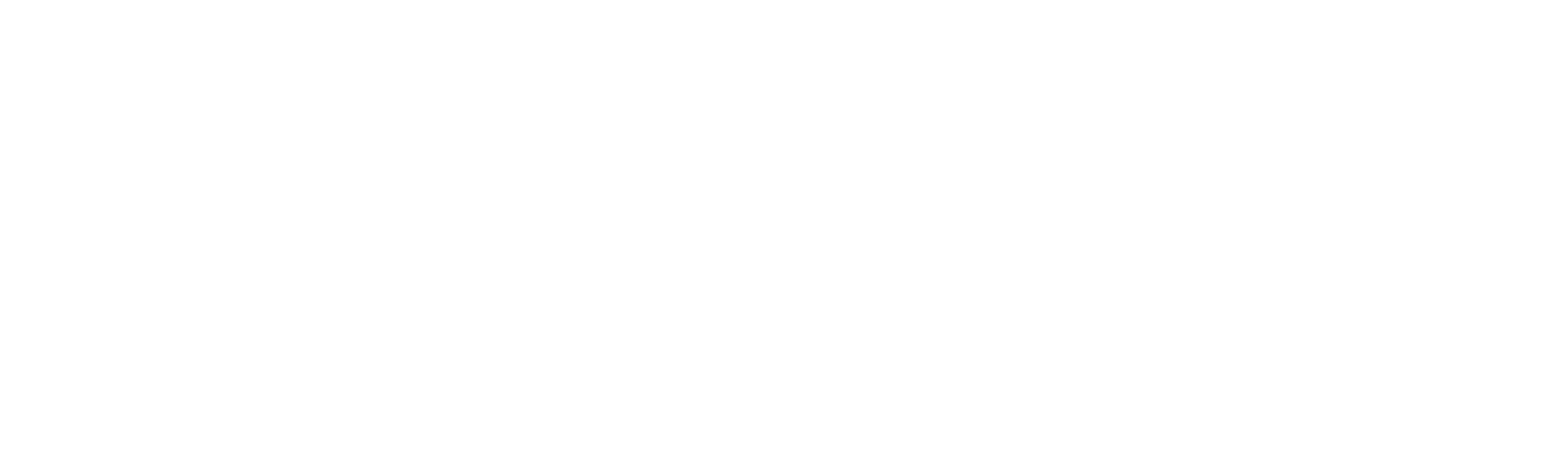 Women's Pro Futsal League